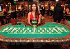 355娱乐彩票-355娱乐彩票，娱乐与责任并重的冒险之旅
